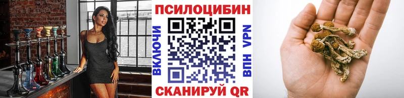 Галлюциногенные грибы Psilocybine cubensis Фролово